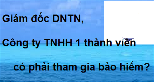Giám đốc DNTN, Công ty TNHH 1 thành viên có cần tham gia bảo hiểm không?