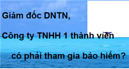 Giám đốc DNTN, Công ty TNHH 1 thành viên có cần tham gia bảo hiểm không?